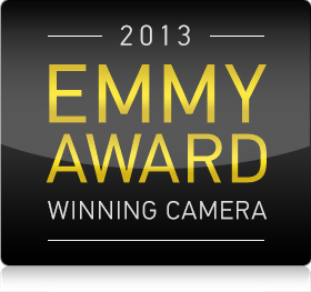 large_Emmy_award_actual